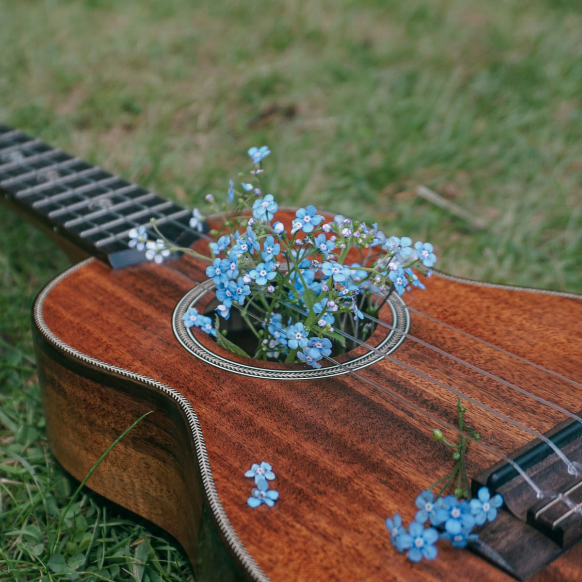 Free Music in Boulder County